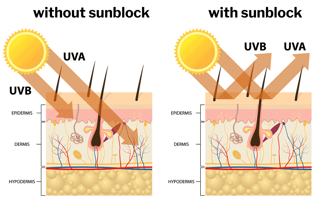 Какие действия оказывают на кожу uvb