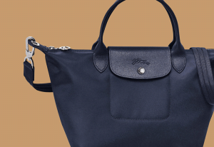 why longchamp bags are popular