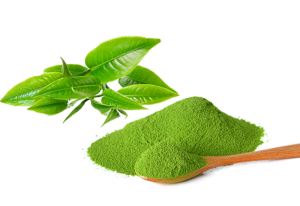 Green tea extract