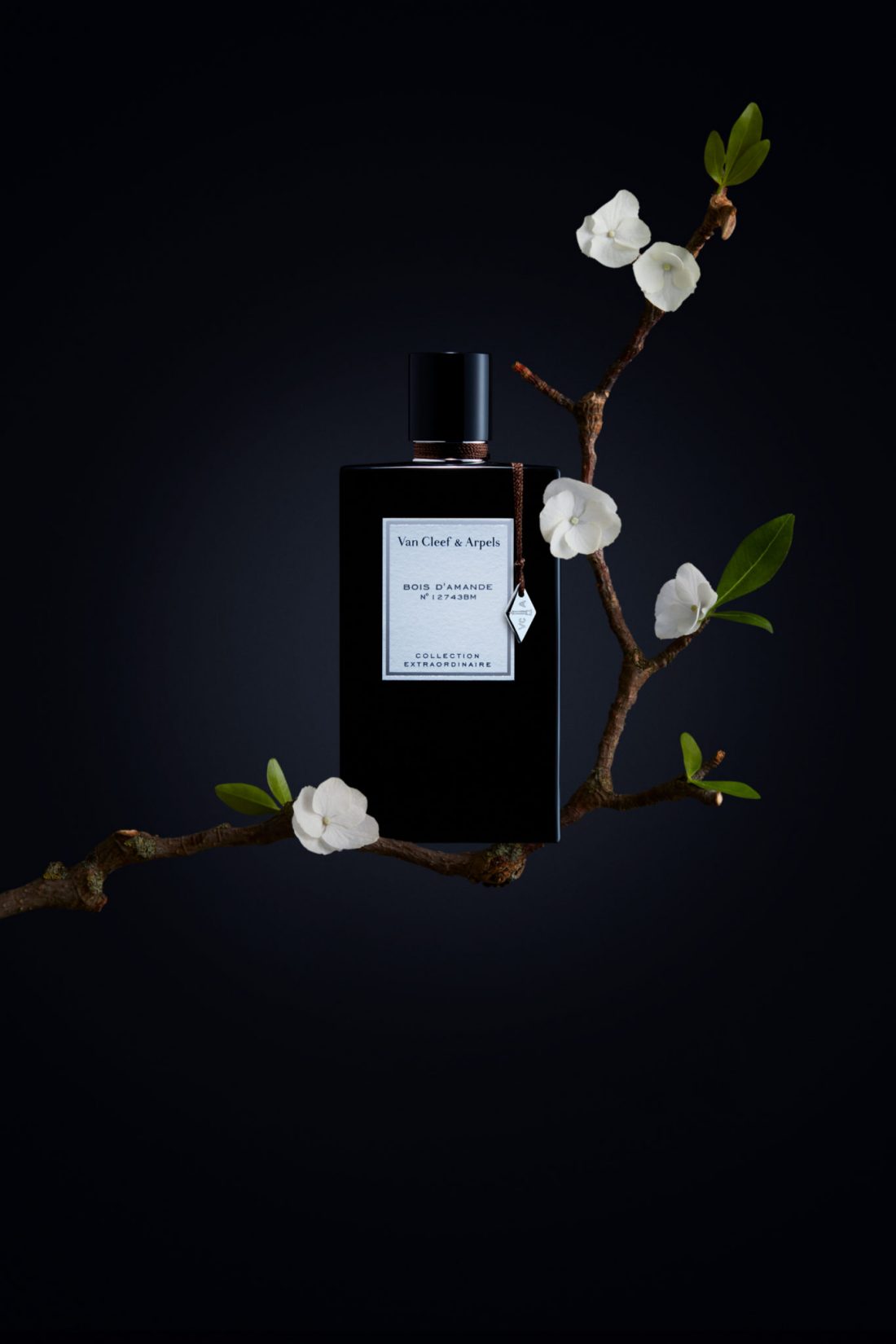 van cleef perfume bois dore