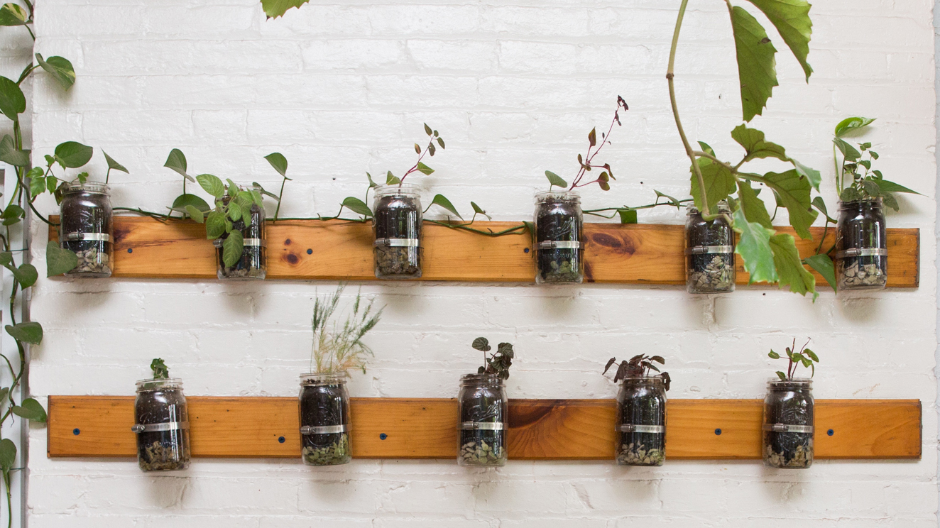 A simple guide to growing your own apartment-friendly herb garden