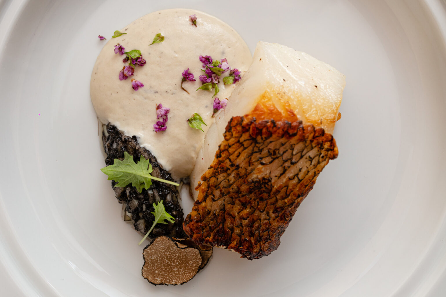 It's truffle season! Nobu KL debuts exclusive Truffle Osusume menu