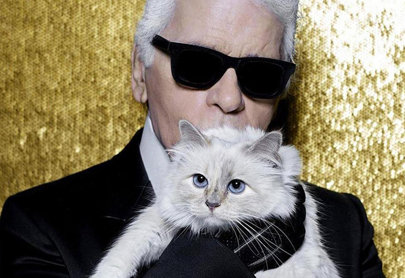 The late Karl Lagerfeld’s pet cat Choupette lands pet furniture ...