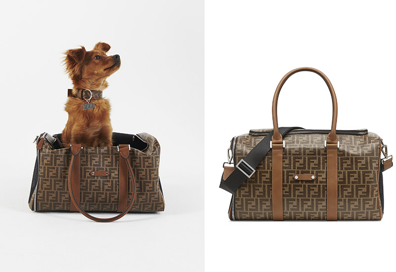 Fendi hotsell dog carrier