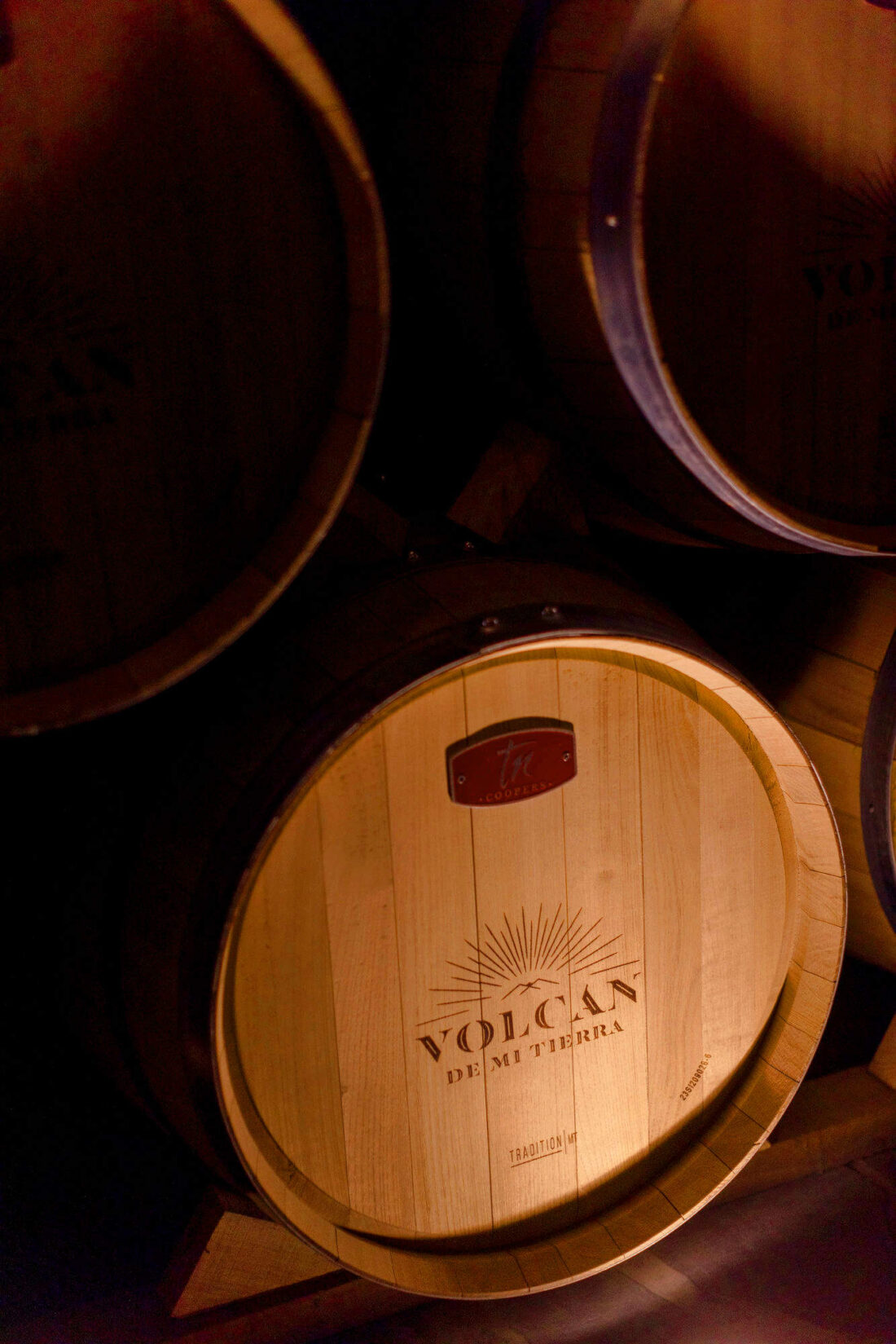 Volcan de Mi Tierra barrel oak