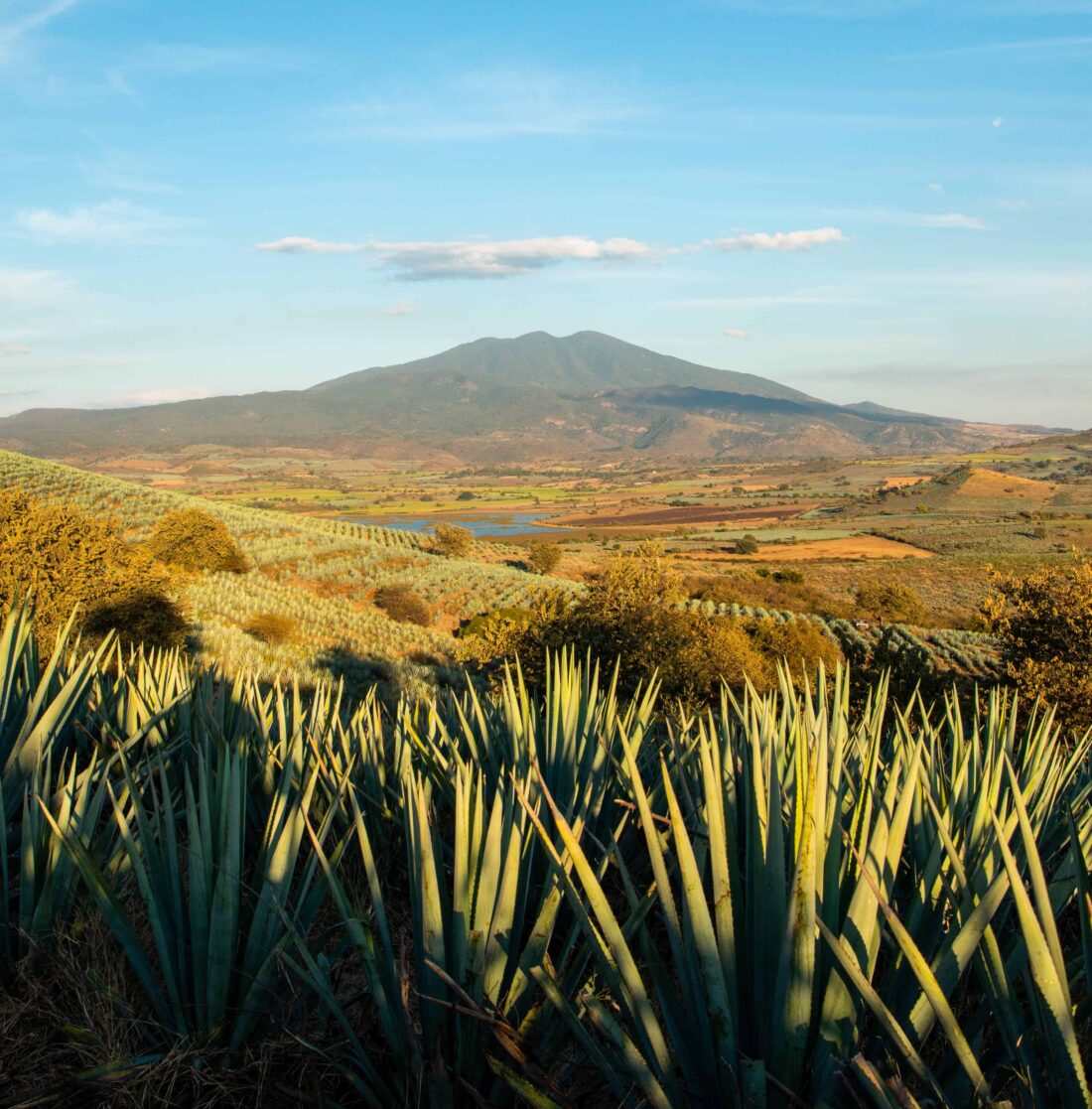 Volcan de Mi Tierra volcano Tequila