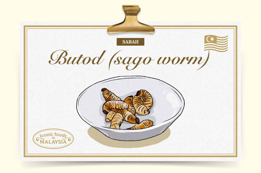 sago worms