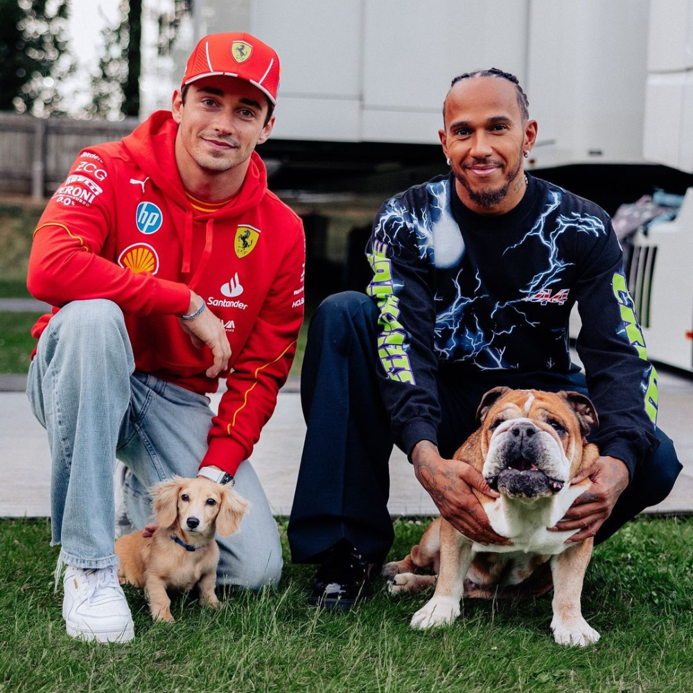 Charles Leclerc Lewis Hamilton