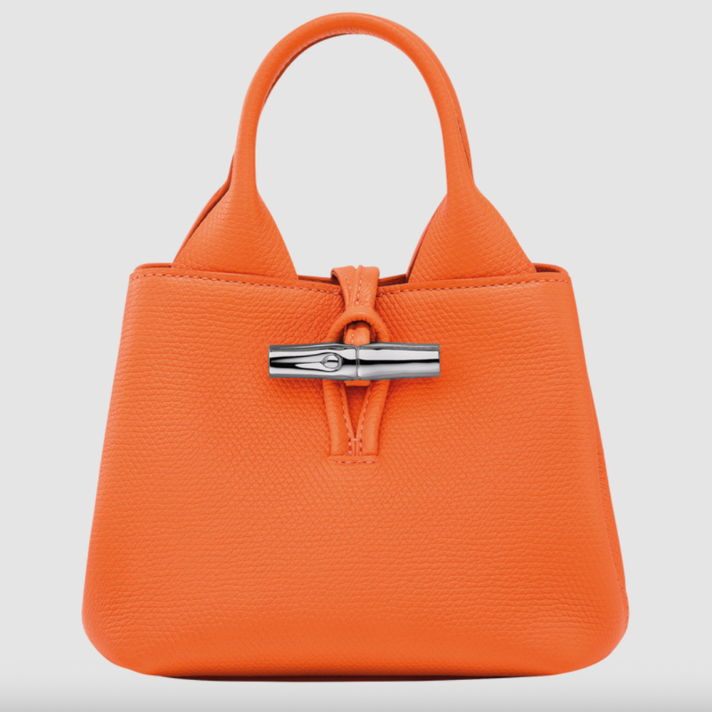 Style Staple Longchamp