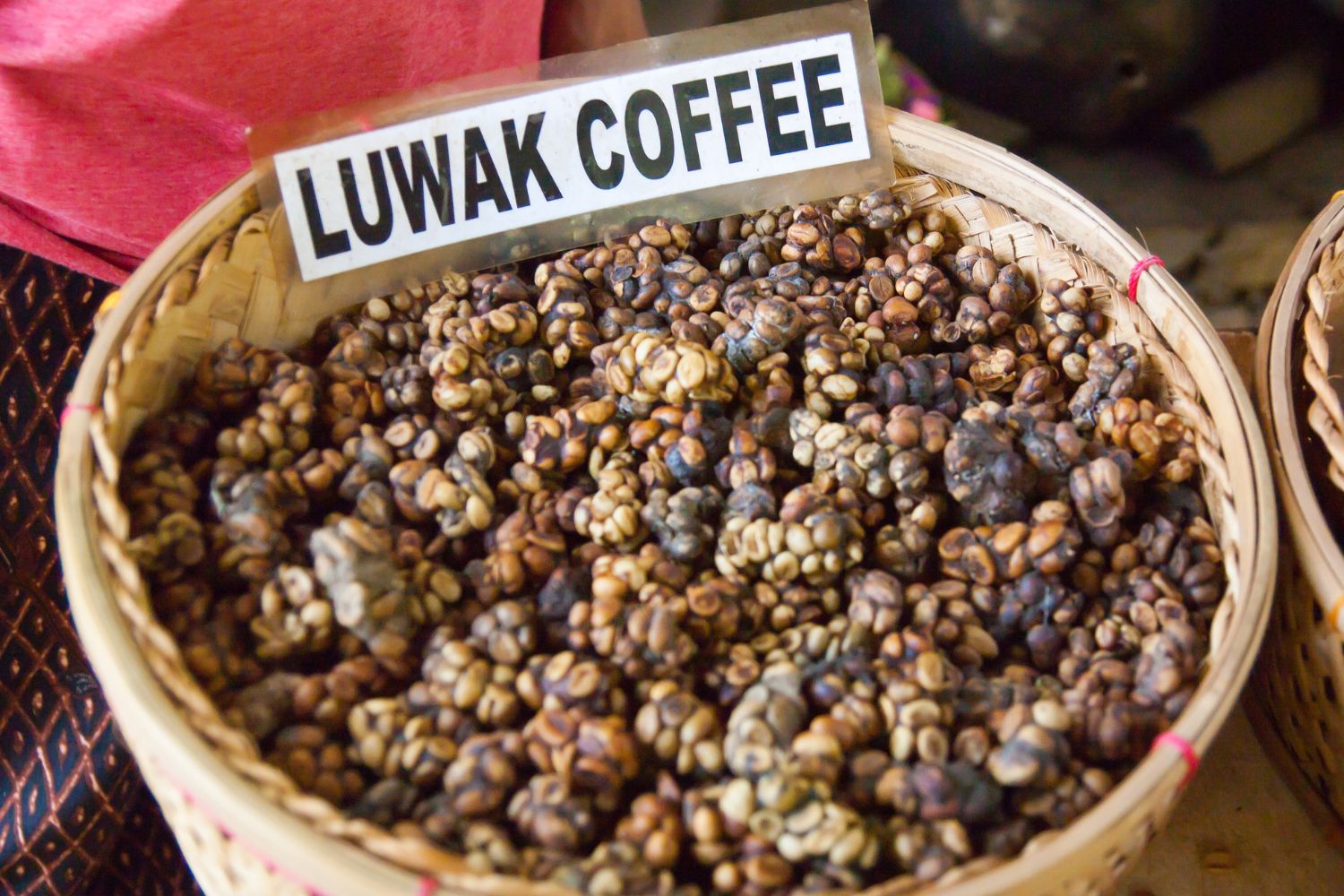 Kopi Luwak in its original form