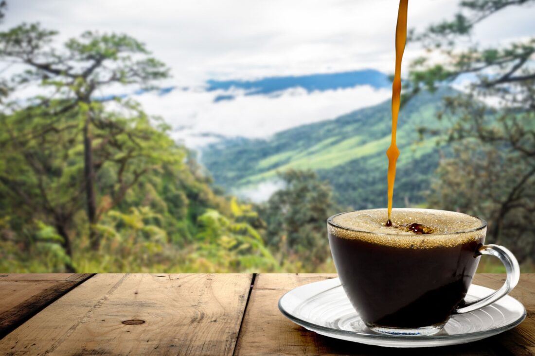 From beans eaten and excreted by civets to ultra-rare harvests grown in remote regions, we round up the priciest coffees in the world.