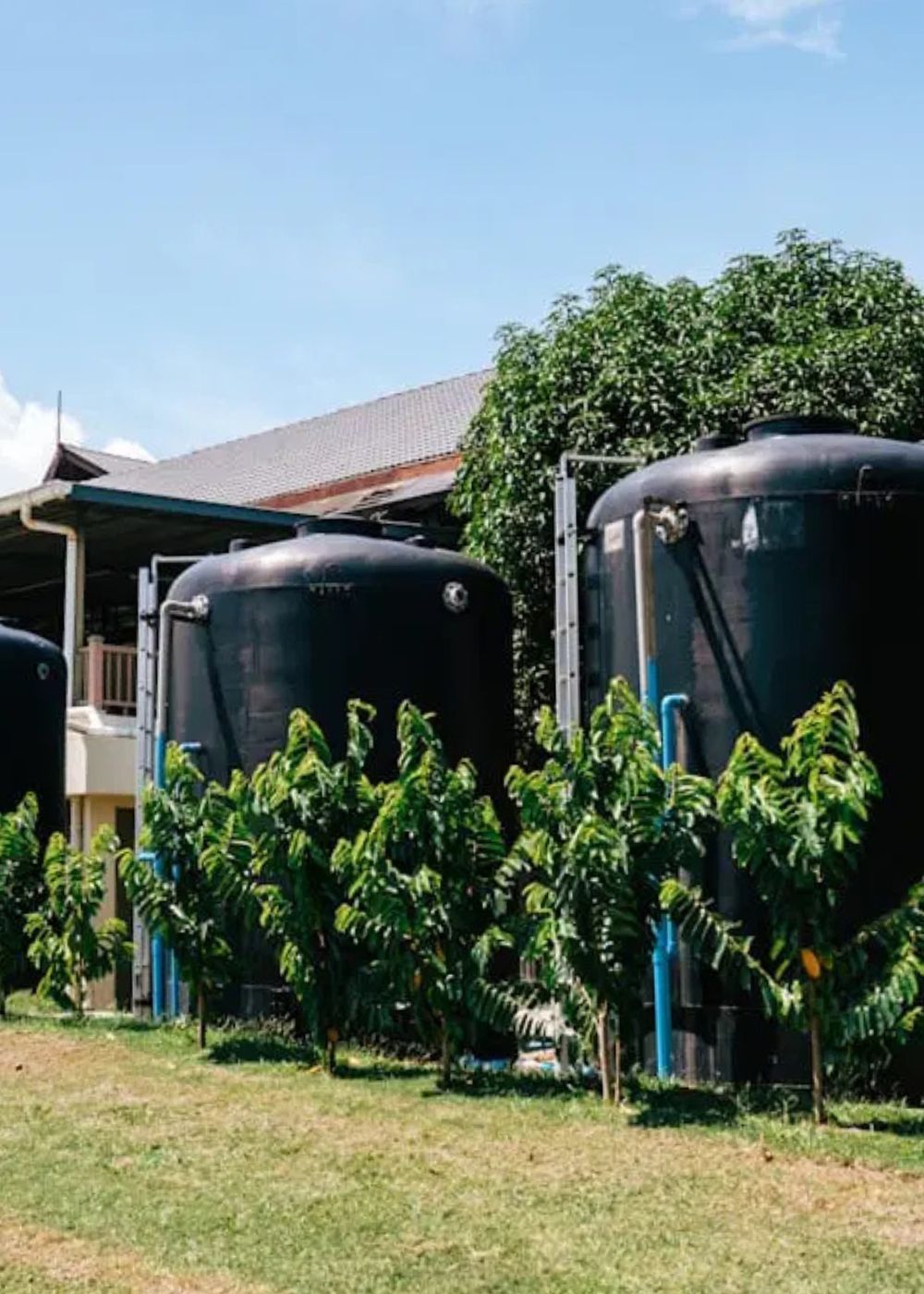 Collection tanks harvest rainwater to sustain the resort's lush gardens.